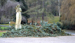 Kácení v Městském parku 2015 - 3.