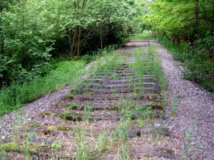 20. Vlecka do Hradcan XVII (So 5.6.2010)