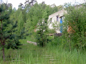 38. Vlecka v Hradcanech VIII (So 5.6.2010)