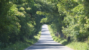 41. Před odbočkou na Vojetín (Čt 2.7.2015)